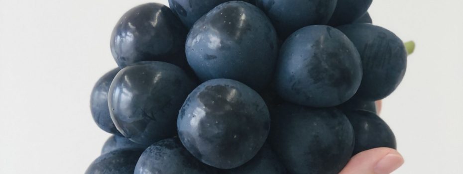 信州須坂から、 最高品質のおいしさをお届けします。